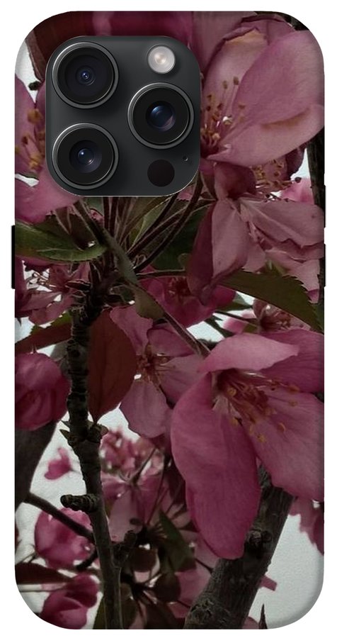Montana Tree Flowers in Pink - Phone Case