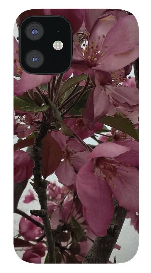 Montana Tree Flowers in Pink - Phone Case