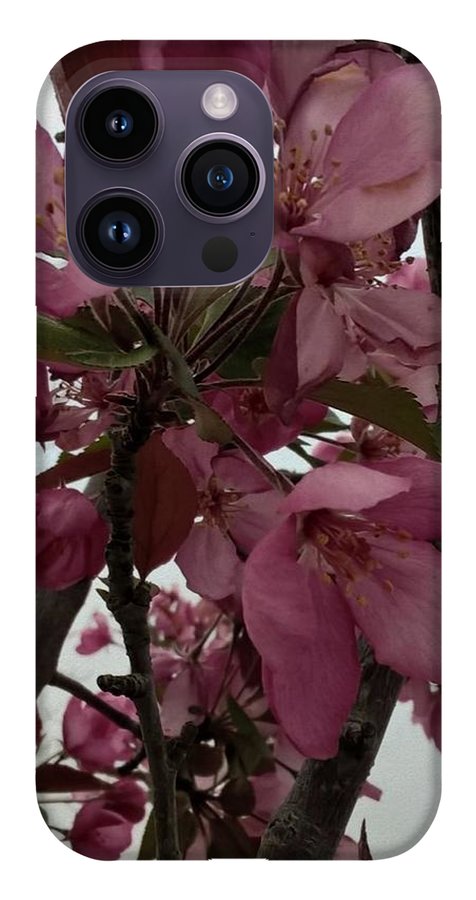 Montana Tree Flowers in Pink - Phone Case
