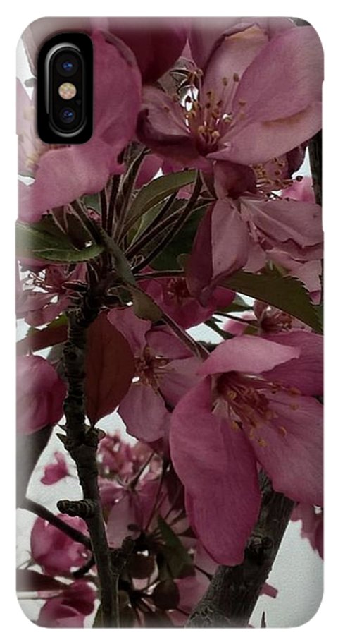 Montana Tree Flowers in Pink - Phone Case