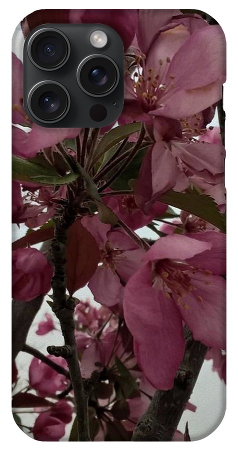 Montana Tree Flowers in Pink - Phone Case