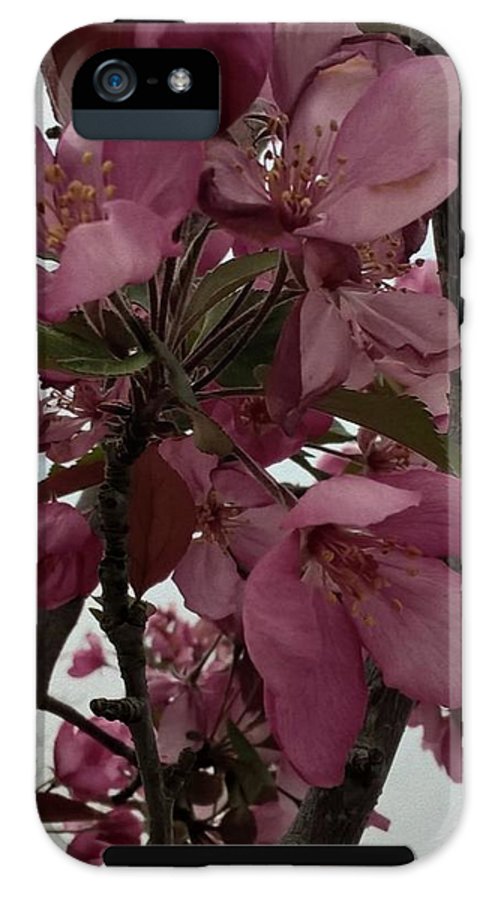 Montana Tree Flowers in Pink - Phone Case