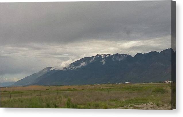 Mountain Field - Canvas Print