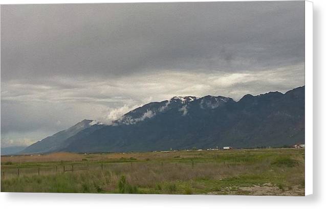Mountain Field - Canvas Print