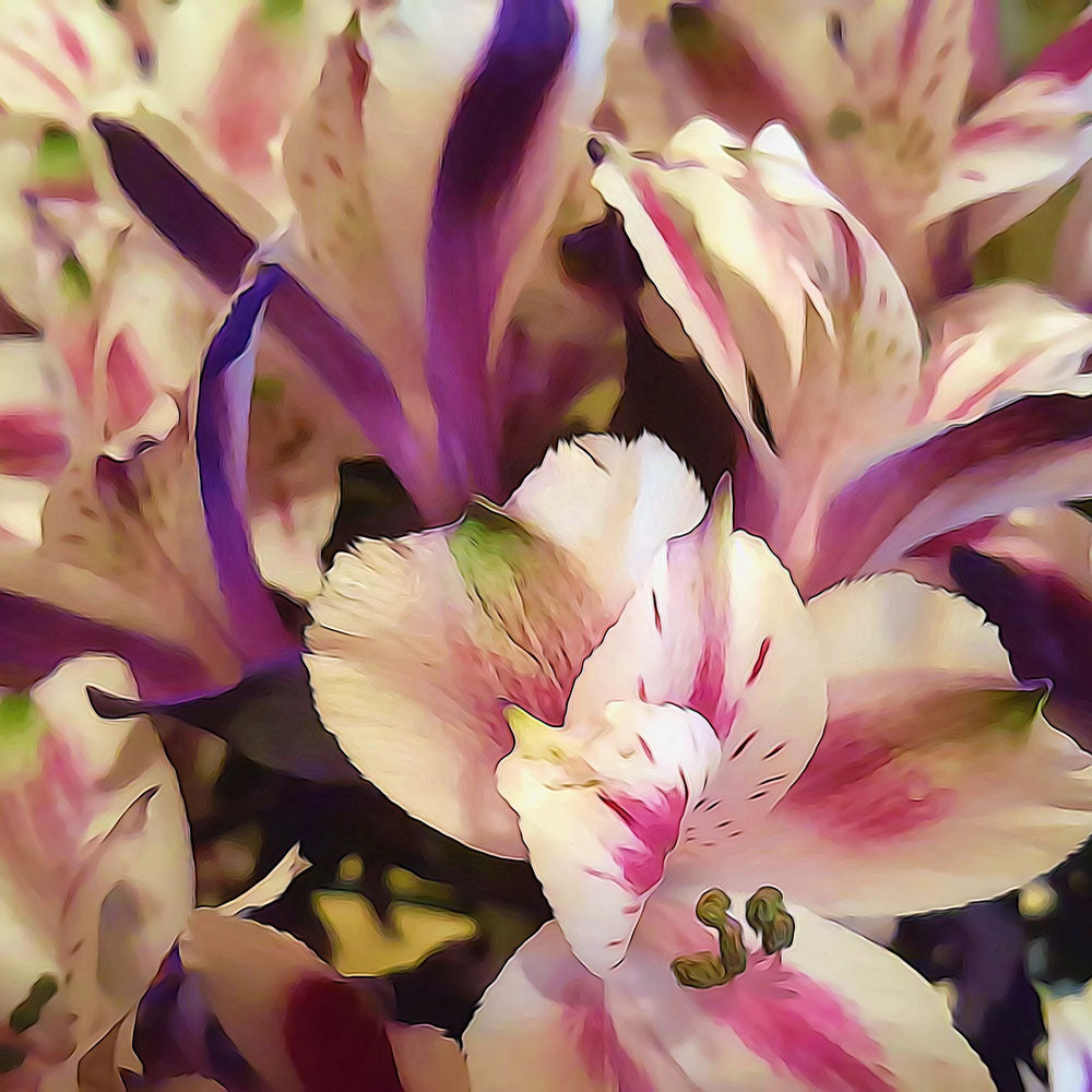 My daughter's Flowers Digital Image Download