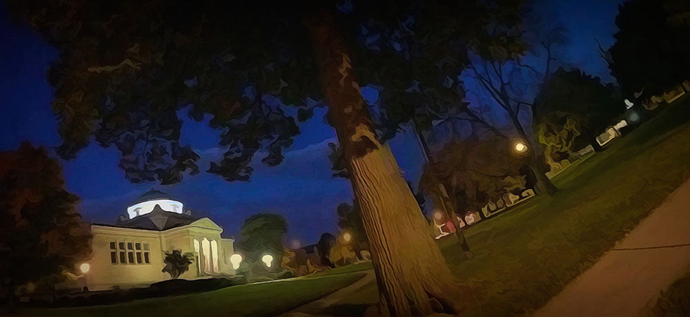 Night at The Library Digital Image Download