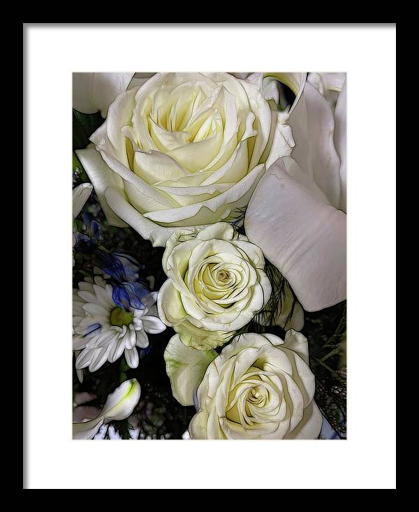 November Flowers 4 - Framed Print