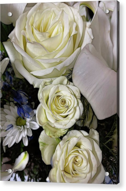 November Flowers 4 - Acrylic Print