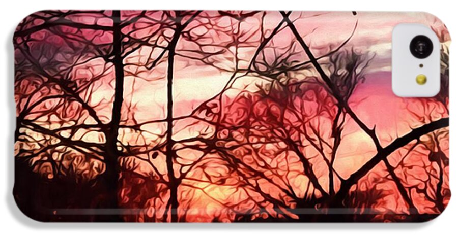 October Sunset - Phone Case