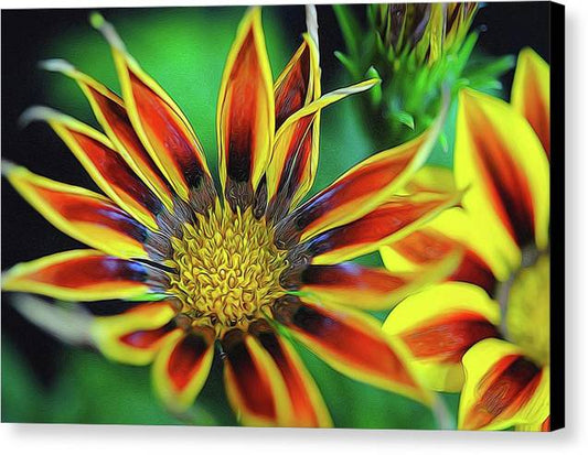 Orange and Yellow Flower - Canvas Print