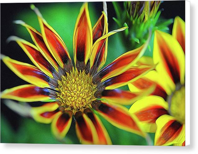 Orange and Yellow Flower - Canvas Print