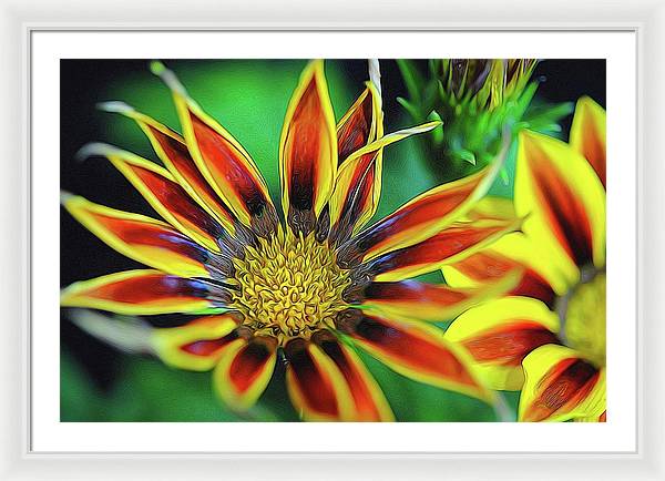 Orange and Yellow Flower - Framed Print