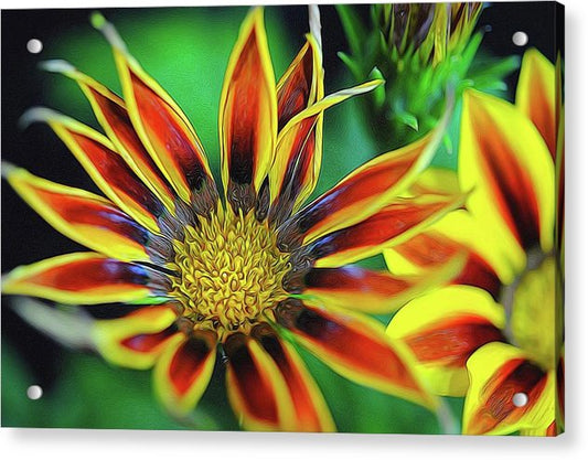 Orange and Yellow Flower - Acrylic Print