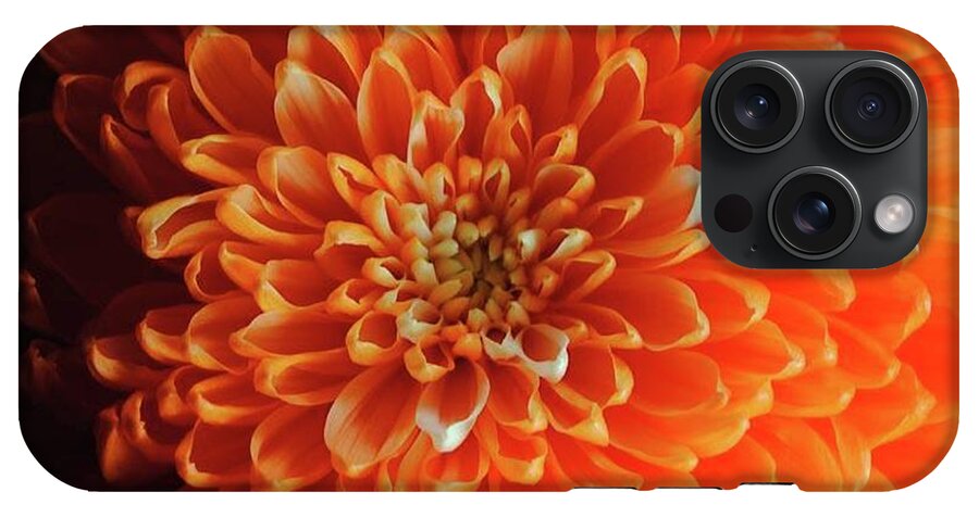 Orange Chrysanthemum - Phone Case