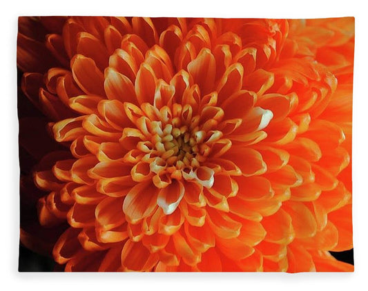 Orange Chrysanthemum - Blanket