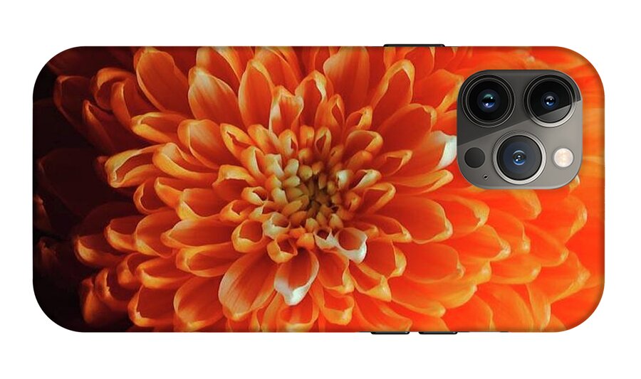 Orange Chrysanthemum - Phone Case