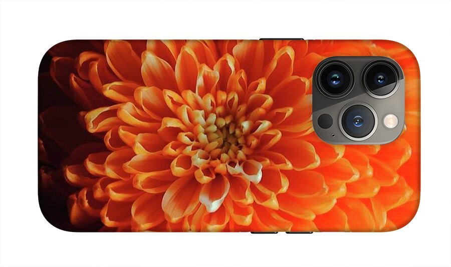 Orange Chrysanthemum - Phone Case