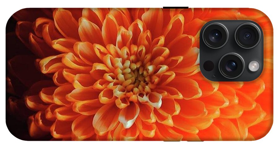 Orange Chrysanthemum - Phone Case