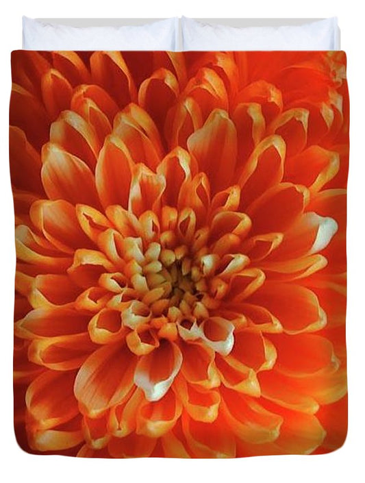 Orange Chrysanthemum - Duvet Cover