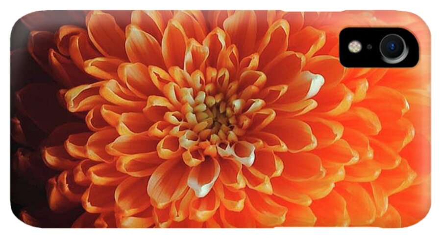 Orange Chrysanthemum - Phone Case