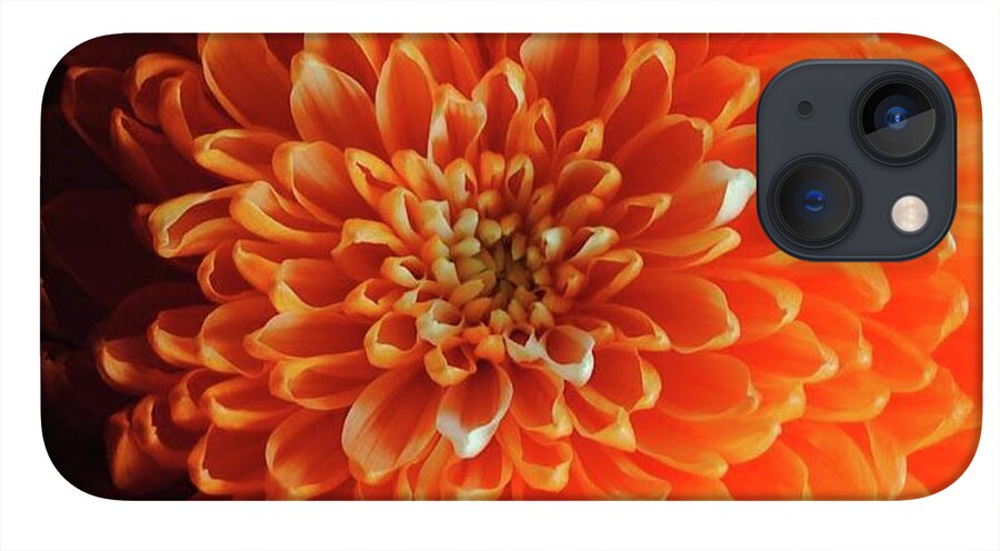 Orange Chrysanthemum - Phone Case