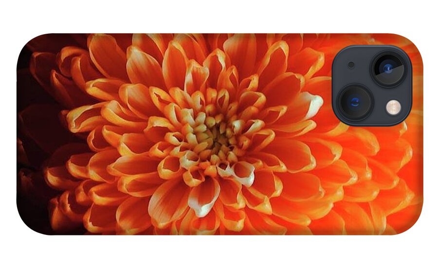 Orange Chrysanthemum - Phone Case