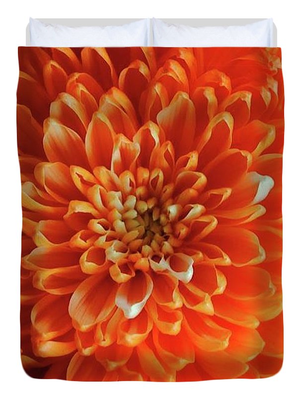 Orange Chrysanthemum - Duvet Cover