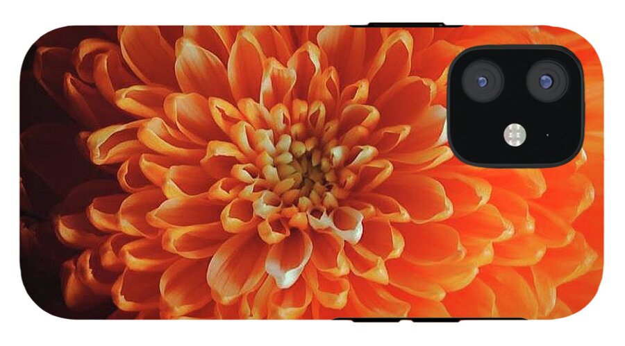 Orange Chrysanthemum - Phone Case
