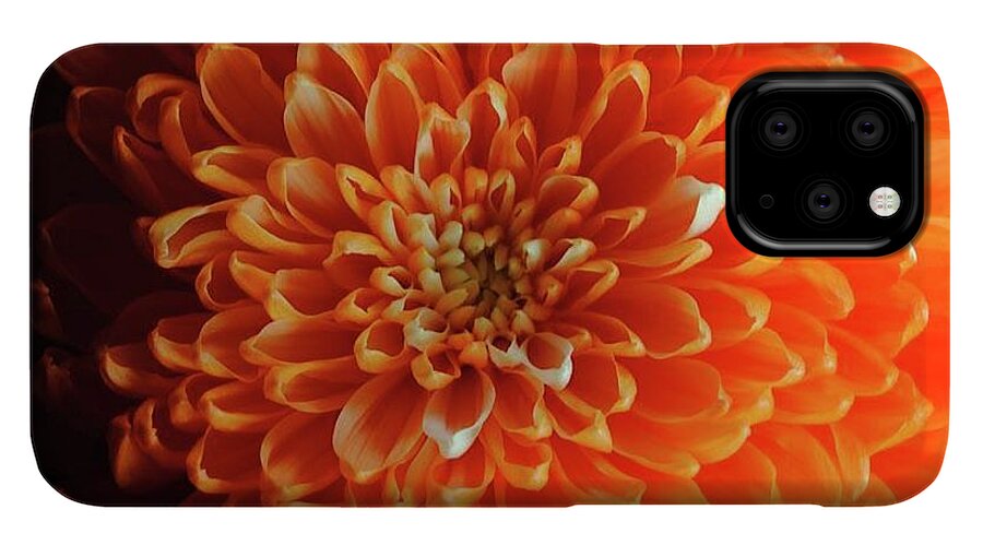 Orange Chrysanthemum - Phone Case