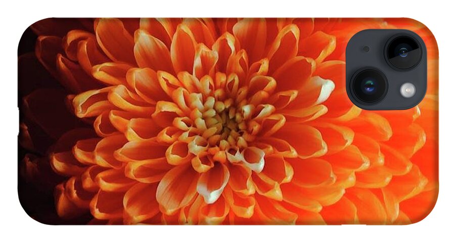Orange Chrysanthemum - Phone Case