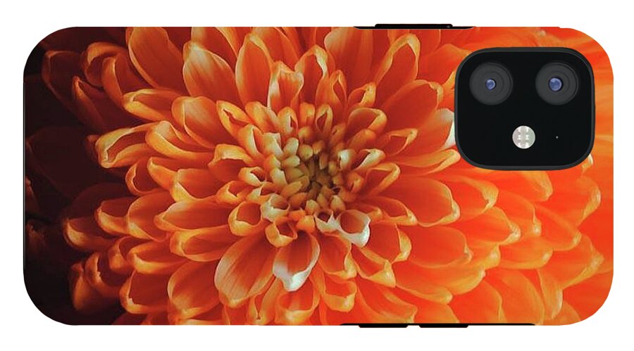 Orange Chrysanthemum - Phone Case