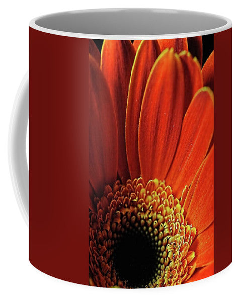 Orange Daisy Close Up - Mug