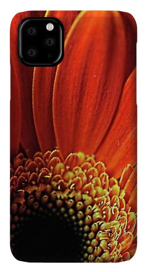 Orange Daisy Close Up - Phone Case