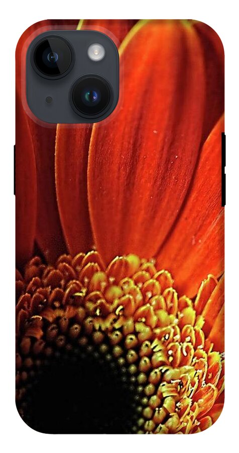 Orange Daisy Close Up - Phone Case
