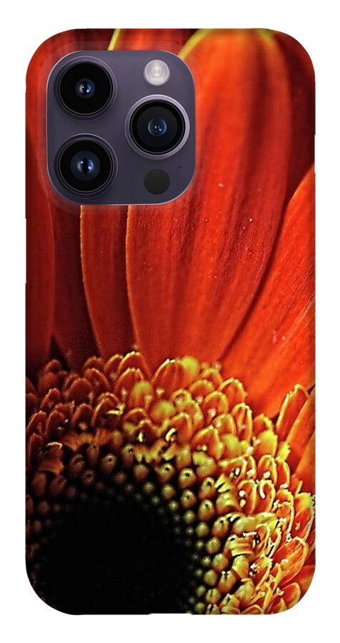 Orange Daisy Close Up - Phone Case
