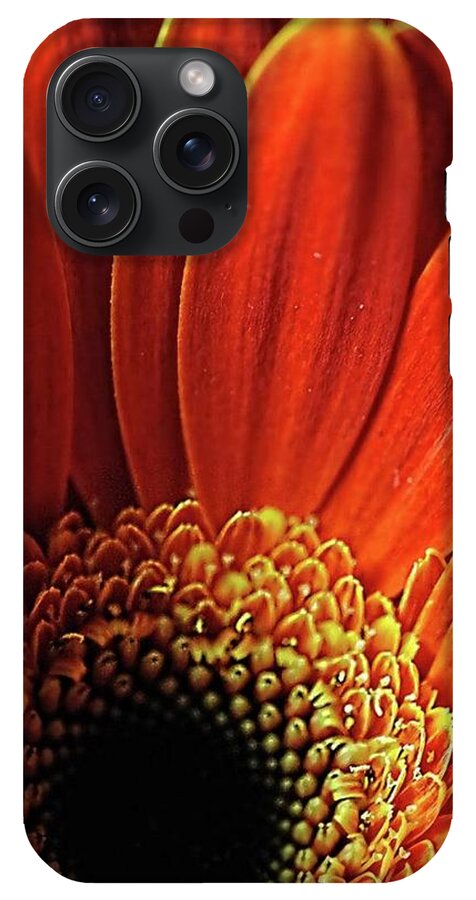 Orange Daisy Close Up - Phone Case