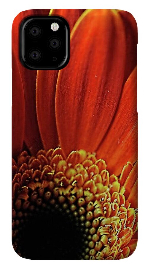 Orange Daisy Close Up - Phone Case