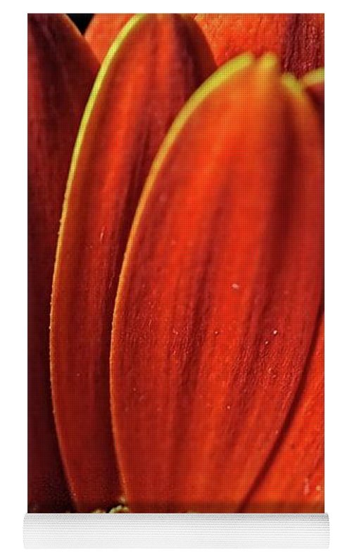 Orange Daisy Close Up - Yoga Mat