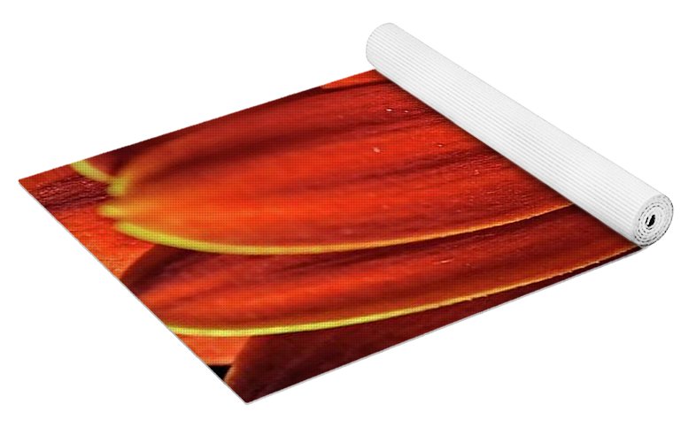 Orange Daisy Close Up - Yoga Mat