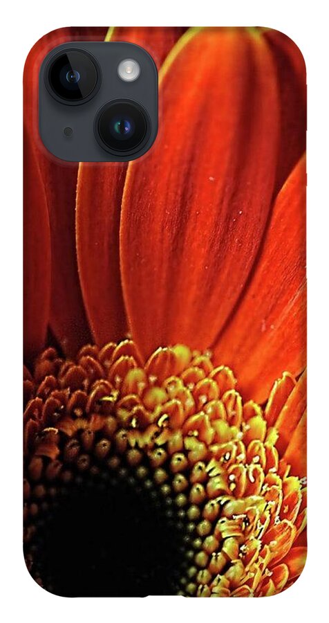 Orange Daisy Close Up - Phone Case
