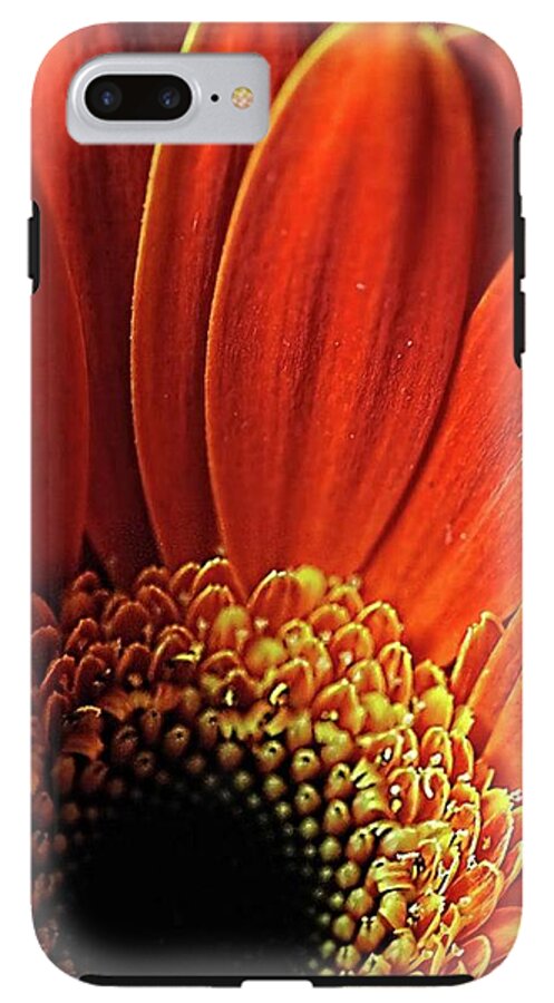 Orange Daisy Close Up - Phone Case