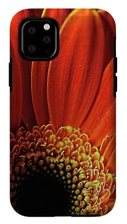 Orange Daisy Close Up - Phone Case