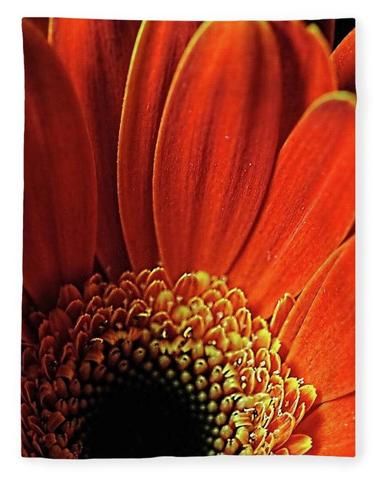 Orange Daisy Close Up - Blanket