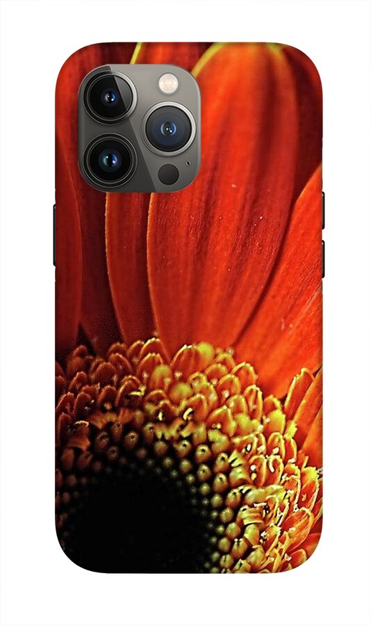 Orange Daisy Close Up - Phone Case