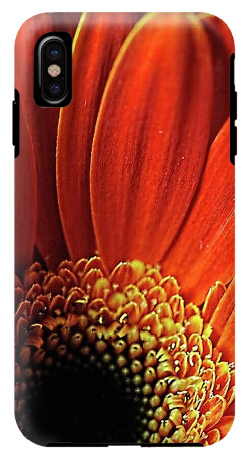 Orange Daisy Close Up - Phone Case