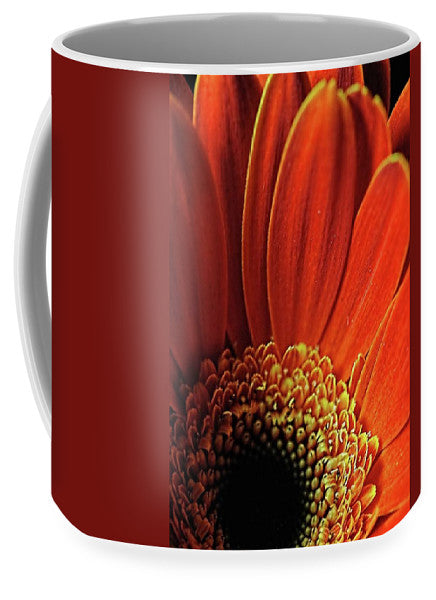 Orange Daisy Close Up - Mug