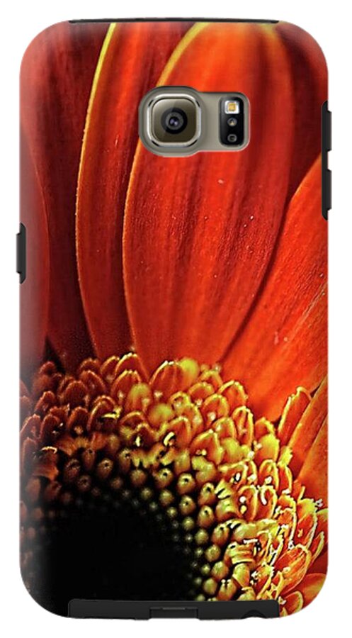 Orange Daisy Close Up - Phone Case