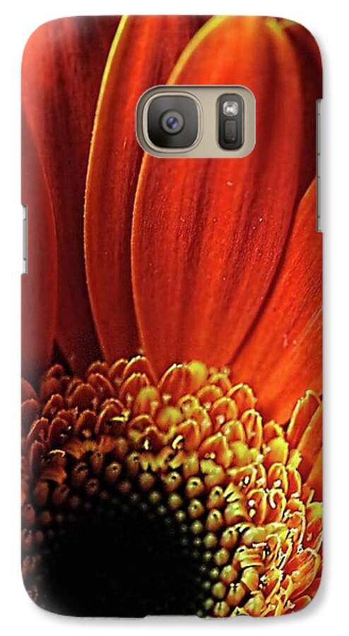 Orange Daisy Close Up - Phone Case