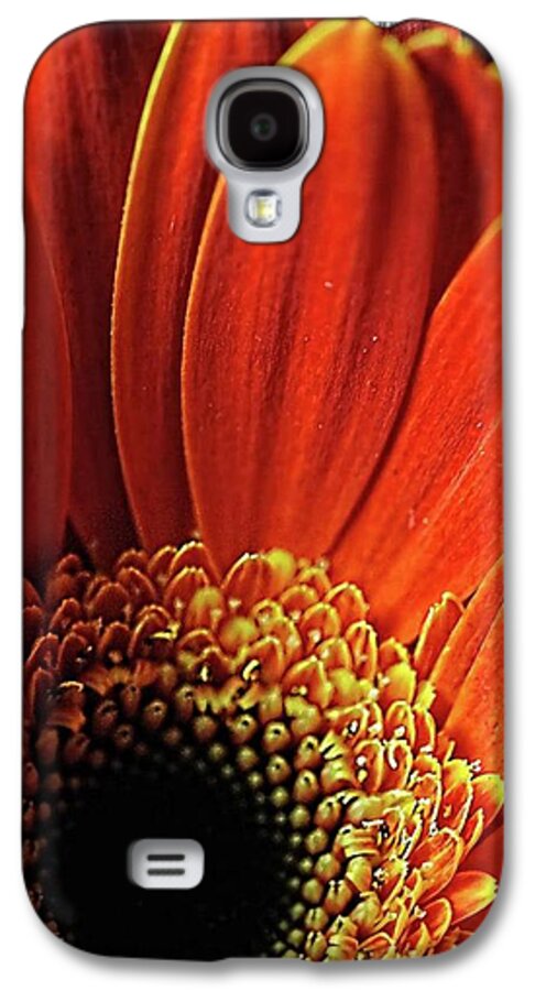 Orange Daisy Close Up - Phone Case