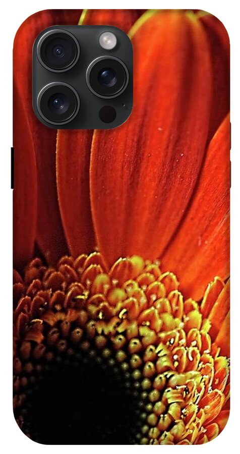 Orange Daisy Close Up - Phone Case